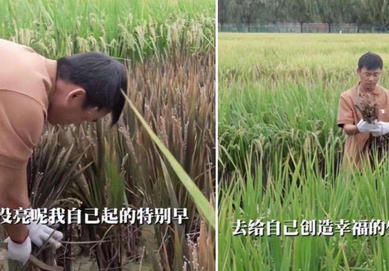 传奇私服王宝强攻略：角色选择、地图探索、组队升级、装备强化与活动参与