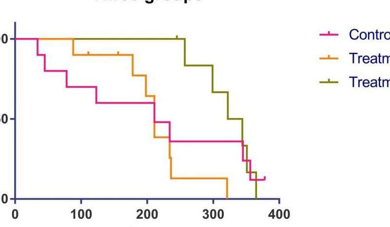 法师生存指南：操作技巧决定存活率